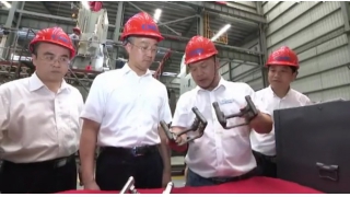 麗水市委書(shū)記胡海峰調(diào)研暢爾