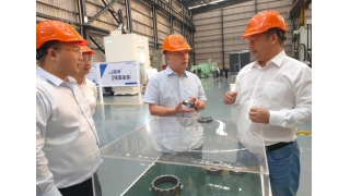 縉云縣副縣長劉潔陽調研暢爾